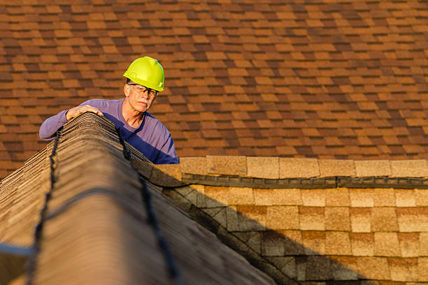 Best Roof Waterproofing Services  in De Soto, IA