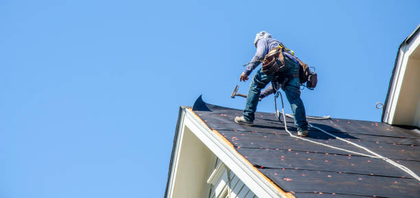 Roof Waterproofing Services in De Soto, IA